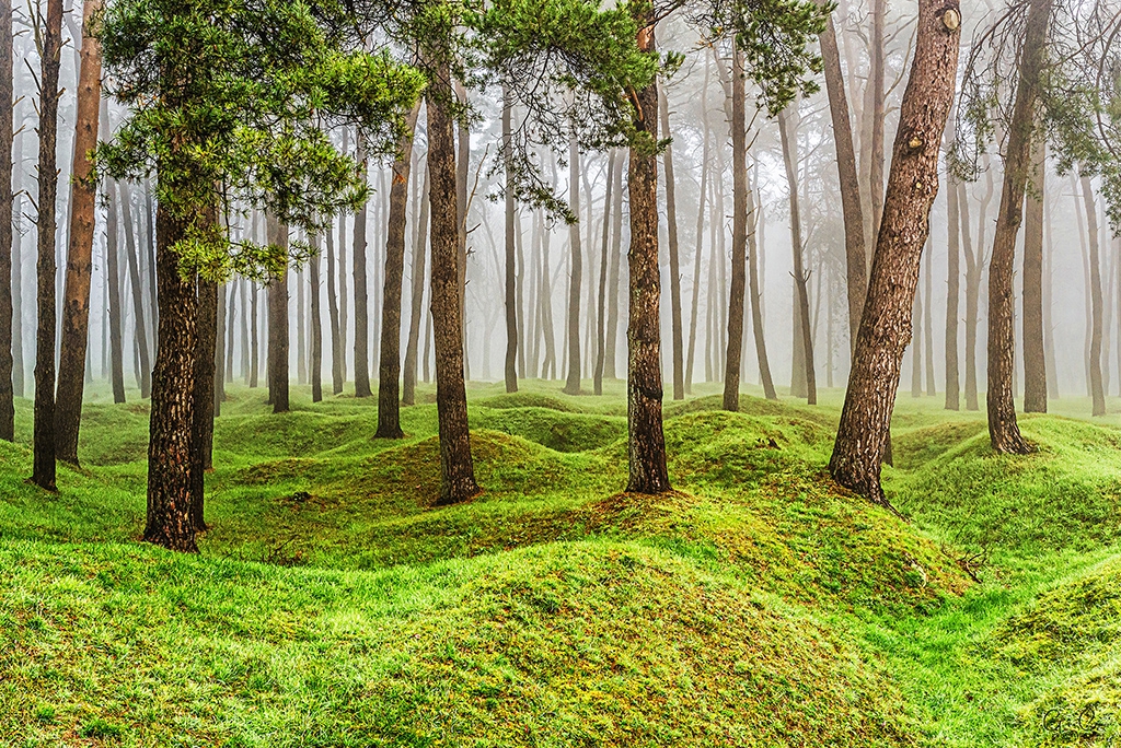 Concours photo " Paysage en Hauts-de-France " 25/11/2021