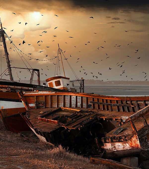 les épaves chalutiers Baie de somme Haut de France